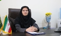 آغاز مبارزه با آفت سن مادر در مزارع گندم منطقه جنوب استان کرمان